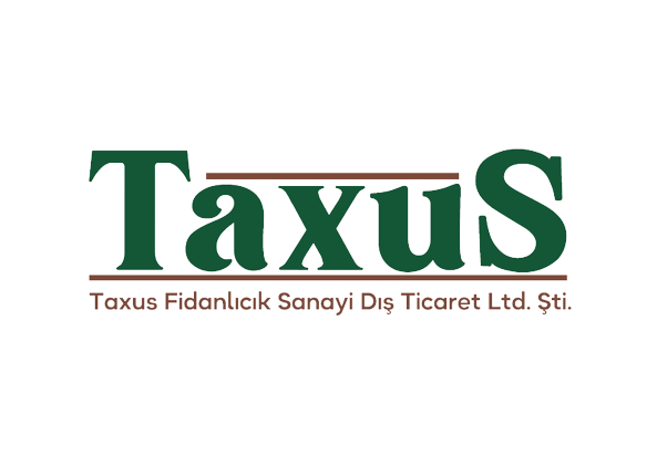 Taxus Fidancılık